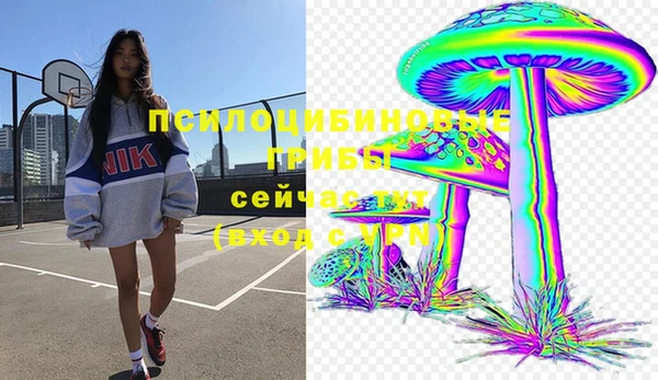 2c-b Балахна