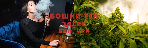 индика Белоозёрский