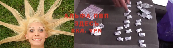 индика Белоозёрский