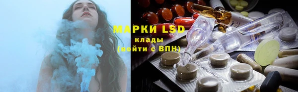 индика Белоозёрский