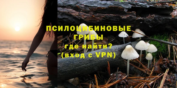 эйфоретик Беломорск
