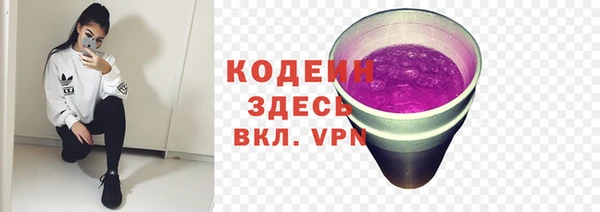 индика Белоозёрский