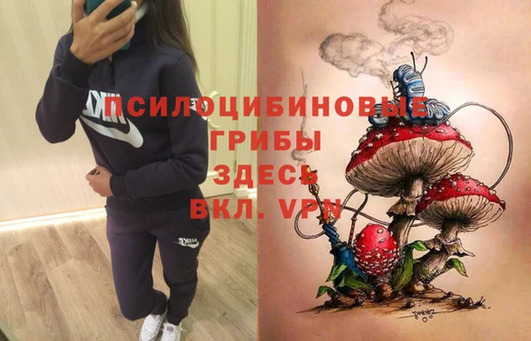 ALPHA PVP Струнино